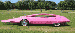 pink panther.gif